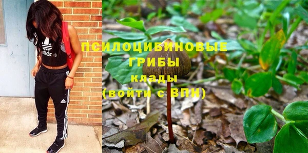 прущая мука Абаза