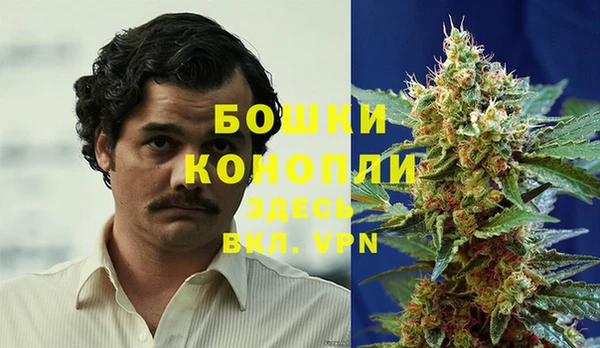 шишки Абдулино