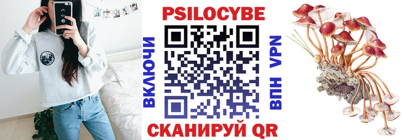 кракен ТОР  Новотитаровская  Галлюциногенные грибы Magic Shrooms 